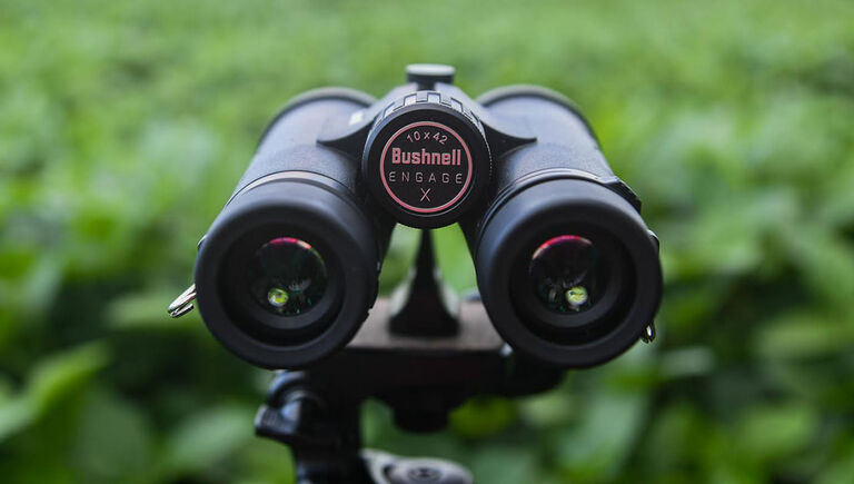 Bushnell Engage DX Binoculars mounted on a stand