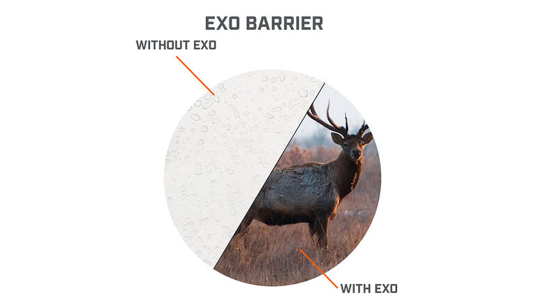 View through the lens with and without EXO Barrier