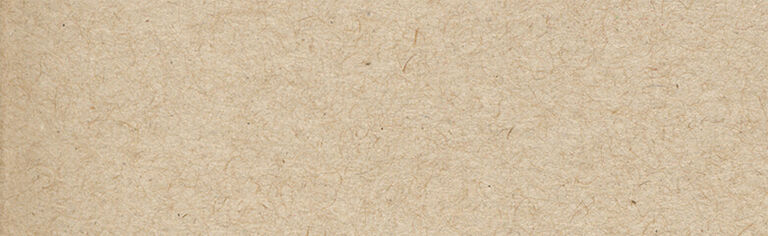 Pistol Magazine Loaders search results banner with paper texture